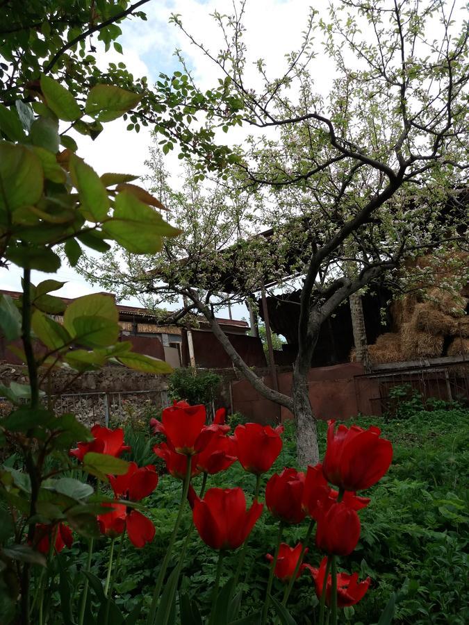 Aida Bed & Breakfast Tat'ev Bagian luar foto