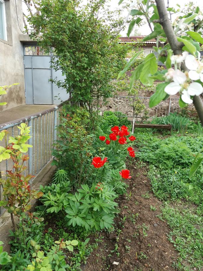 Aida Bed & Breakfast Tat'ev Bagian luar foto